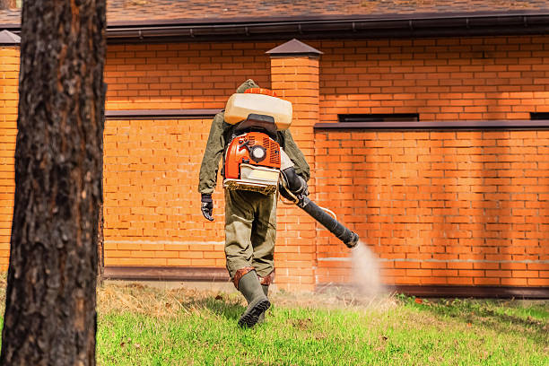Trusted Cockroach Control service in Miamitown, OH - Nex Pest Control